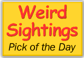 featured in Weird Sightings
